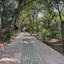 Parque Benito Juarez - Photo 2: Parque Benito Juarez