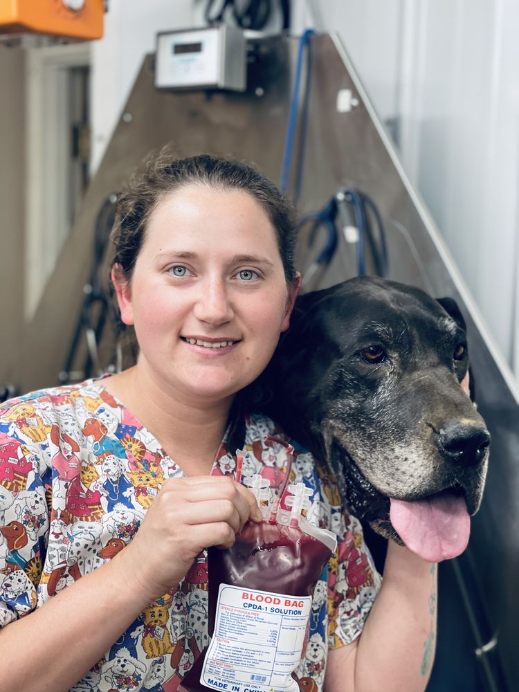 ANIMAL’S CHOICE VETERINARY CLINIC Updated August 2024 200 County