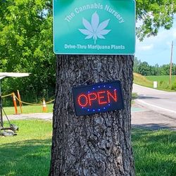The Cannabis Bakery