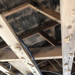 Leo McHugh Builders - Mold on ceiling as a result of abandoned job