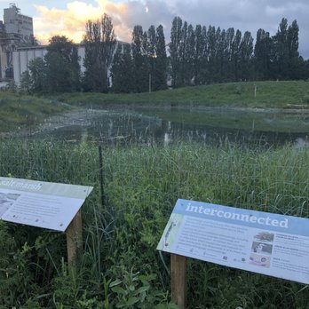 New Brighton Park - Salt marsh signs~ - Beaches Near Me - Vancouver, British Columbia New Brighton Park - Salt marsh signs~ - Beaches Near Me - Vancouver, British Columbia