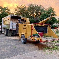 Torres Tree Service - Chop, Chop!!