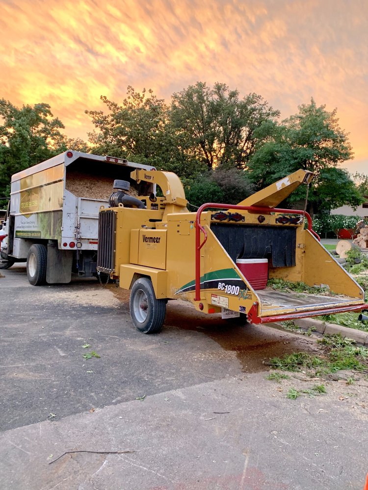 Torres Tree Service - tree service in Grand Prairie, TX