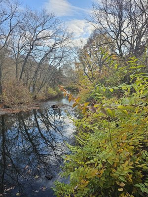East Rock Park by null