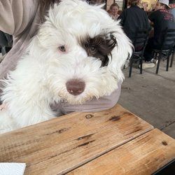 Good News Brewing Defiance - "Bear" on his first trip to Good News!