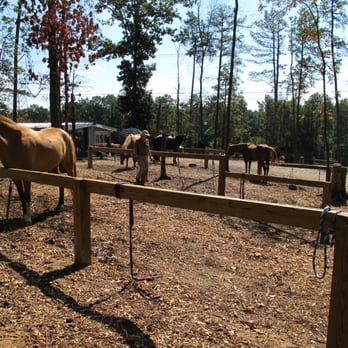 Dead Broke Farm - Horseback Riding Near Me - Raleigh, North Carolina Dead Broke Farm - Horseback Riding Near Me - Raleigh, North Carolina