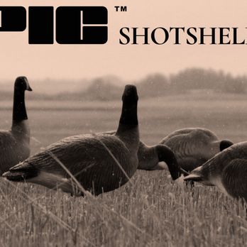 Epic Shotshell - Sporting Goods Near Me - Paradise, Texas Epic Shotshell - Sporting Goods Near Me - Paradise, Texas