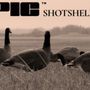Photo of Epic Shotshell