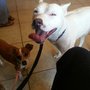 Photo of Paws Veterinary Clinic