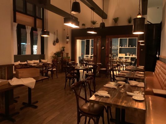 Divina Modern Italian by null