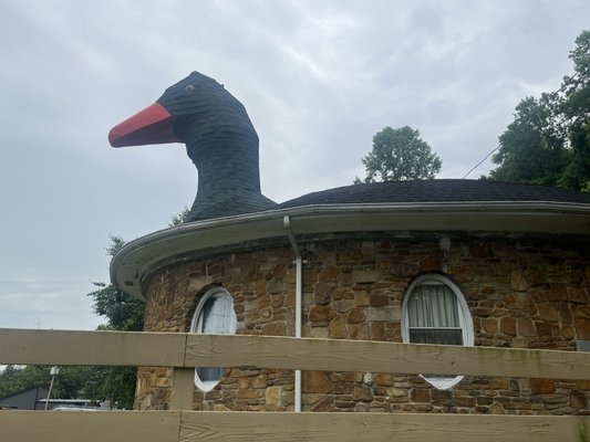 goose house写真 Goose_House_grande.jpg?v=
