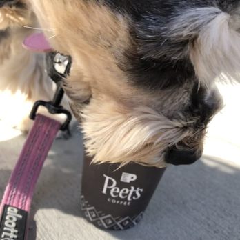 Peet's Coffee - Plumette! - Coffee & Tea Near Me - San Francisco, California