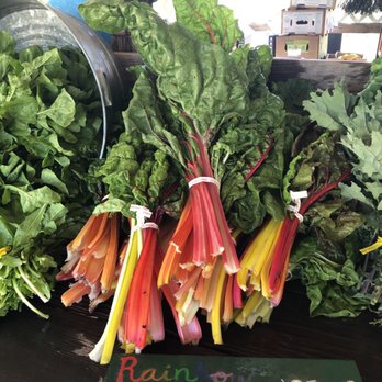 Worker Bee Farm - Farms Near Me - Freestone, California