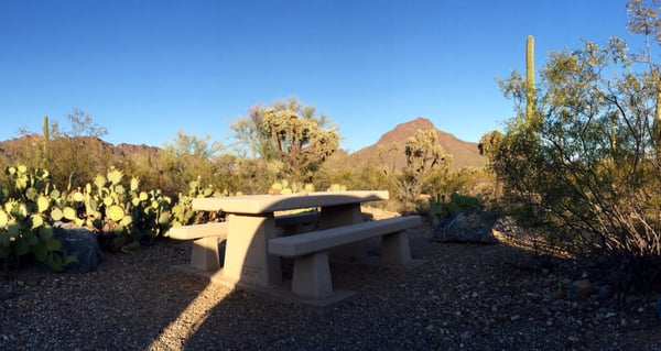 Gilbert Ray Campground by null
