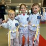 Photo of Tsawwassen Martial Arts