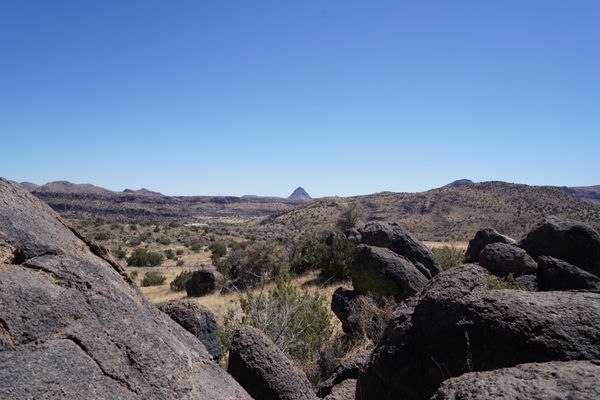 Chihuahuan Desert Research Institute by null