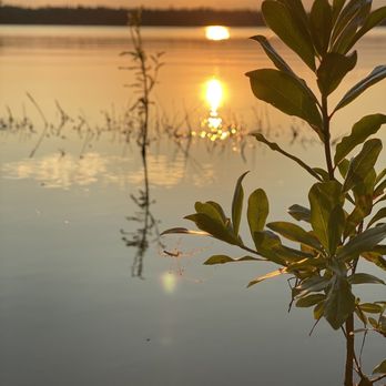 Jones Lake State Park - Parks Near Me - Elizabethtown, North Carolina Jones Lake State Park - Parks Near Me - Elizabethtown, North Carolina