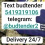 Cannabis Cured Recreational Weed Dispensary Eliot