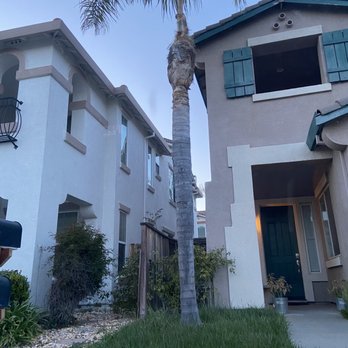 Urban Tree Care - Tree Services Near Me