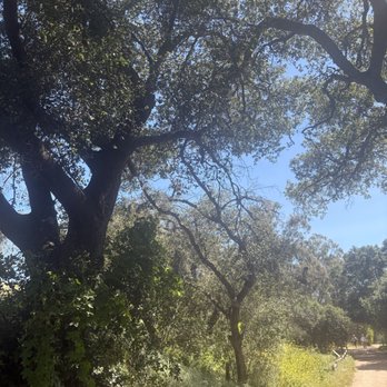 Santiago Oaks Regional Park - Parks Near Me - Orange, California