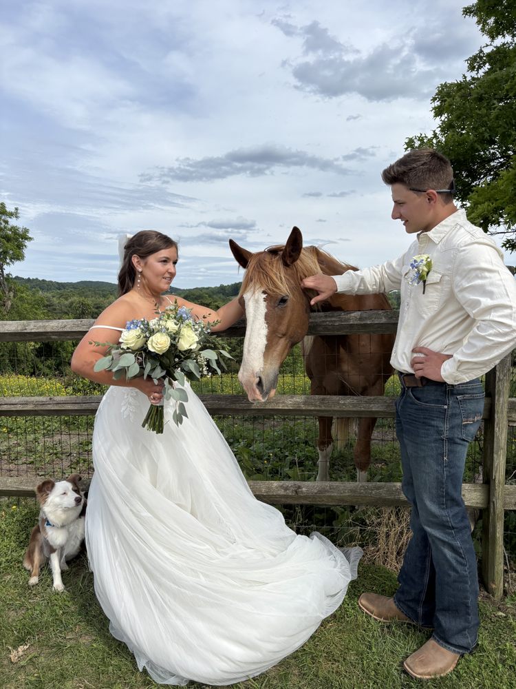 Social spots from Skyline Stables