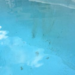 Lone Star Pool Services - Those dark spots are not dirt. They are the blobs of plaster repair that were not cleaned up.