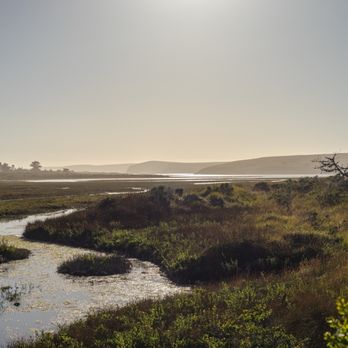 Limantour Beach - Beaches Near Me - Point Reyes Station, California