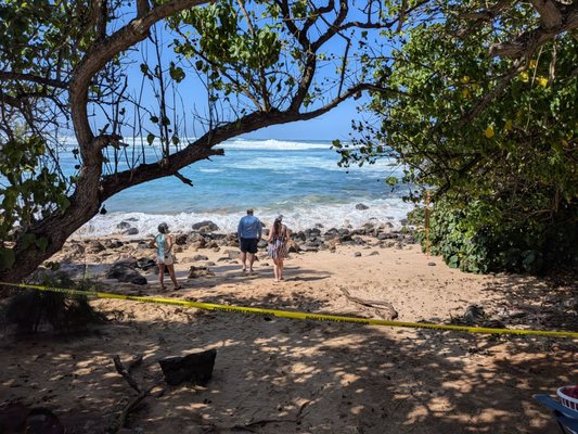 Laniakea Beach by null