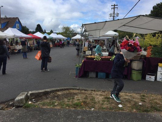 Portland Farmers Market - King by null