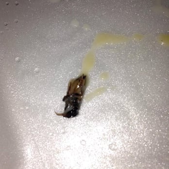 Applebee's Grill + Bar - This was baked into my food... - Sports Bars Near Me - Riverbank, California Applebee's Grill + Bar - This was baked into my food... - Sports Bars Near Me - Riverbank, California