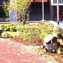 Photo of Dom Chiola Landscaping
