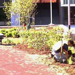 Dom Chiola Landscaping - Planting Beds, Dom Chiola Landscaping Corp. in Fairview, NJ