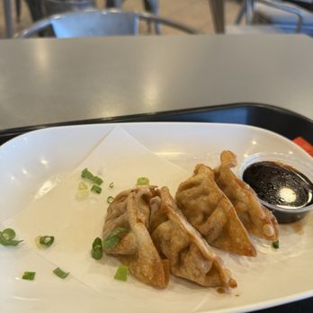 Capybara Ramen & Sushi - Pork dumplings - Ramen Near Me - Clermont, Florida