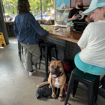 Enzos Dog Training - Pet Training Near Me - Battle Ground, Washington