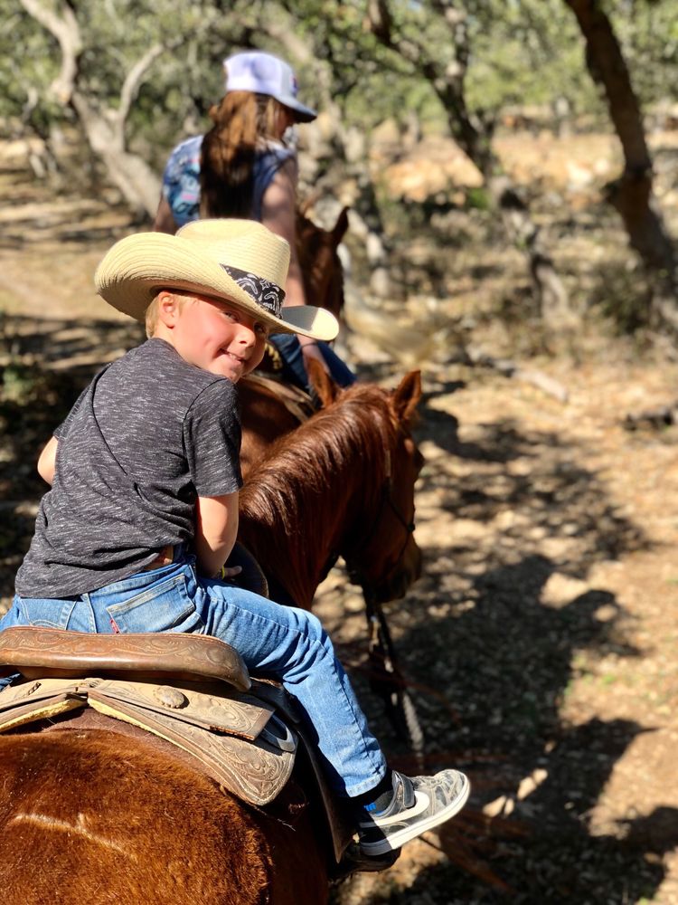 HOLLOW TREE RANCH Updated September 2024 57 Photos & 53 Reviews