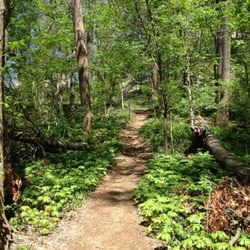 Melvin C Hazen Park