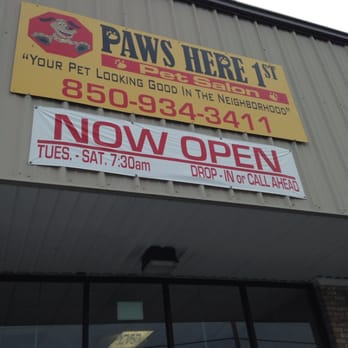 Paws Here 1st Pet Salon - Pet Services Near Me - Gulf Breeze, Florida Paws Here 1st Pet Salon - Pet Services Near Me - Gulf Breeze, Florida
