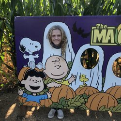The Maize at The Pumpkin Patch - The cute sighs