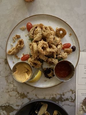 Salt & Stone by null