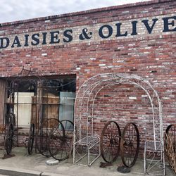 Daisies & Olives