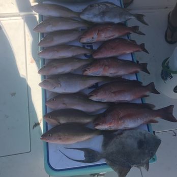 Adrenaline Rush Charters - Fishing Near Me - Jupiter, Florida Adrenaline Rush Charters - Fishing Near Me - Jupiter, Florida