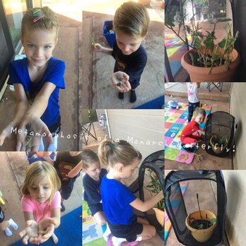 Sharing the Butterfly Experience - Party & Event Planning Near Me Sharing the Butterfly Experience - Party & Event Planning Near Me