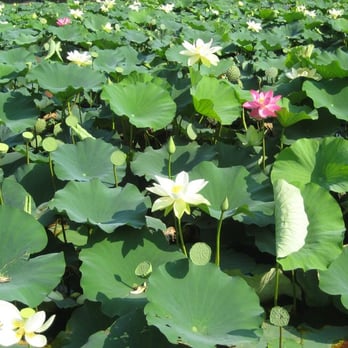 Goodale Park - Parks Near Me - Columbus, Ohio Goodale Park - Parks Near Me - Columbus, Ohio