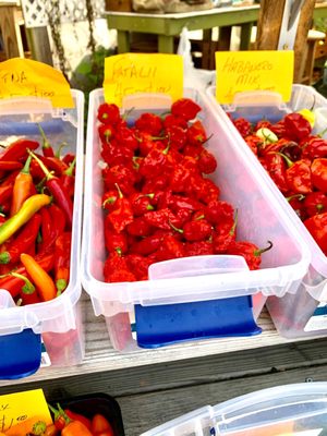 Matthews Community Farmers' Market by null