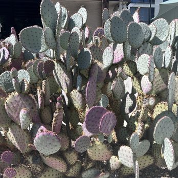 FOUND:RE Phoenix - Hotels Near Me - Phoenix, Arizona