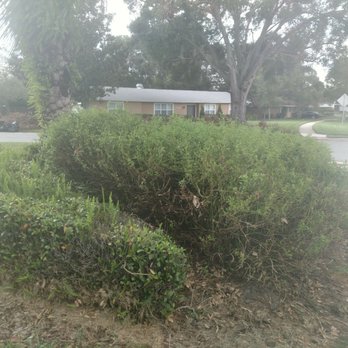 Annan Landscape - Not included in the contract? - Landscaping Near Me - Altamonte Springs, Florida Annan Landscape - Not included in the contract? - Landscaping Near Me - Altamonte Springs, Florida