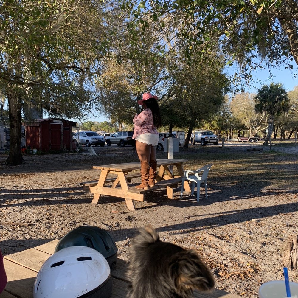 Sun City Stables - Horseback Riding Near Me - Sun City, Florida