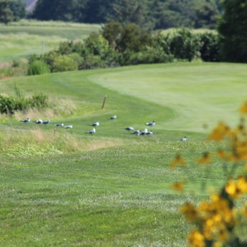 Village At Bear Trap Dunes Pavilion - Gyms Near Me - Ocean View, Delaware Village At Bear Trap Dunes Pavilion - Gyms Near Me - Ocean View, Delaware
