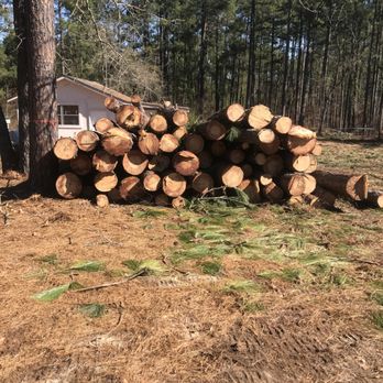 706 Tree and Stump - Landscaping Near Me - Augusta, Georgia