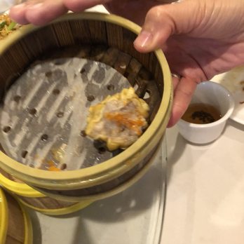 Star Kitchen - Dim Sum Near Me - Denver, Colorado Star Kitchen - Dim Sum Near Me - Denver, Colorado